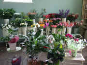 Bluebells Florist Downham Market Norfolk